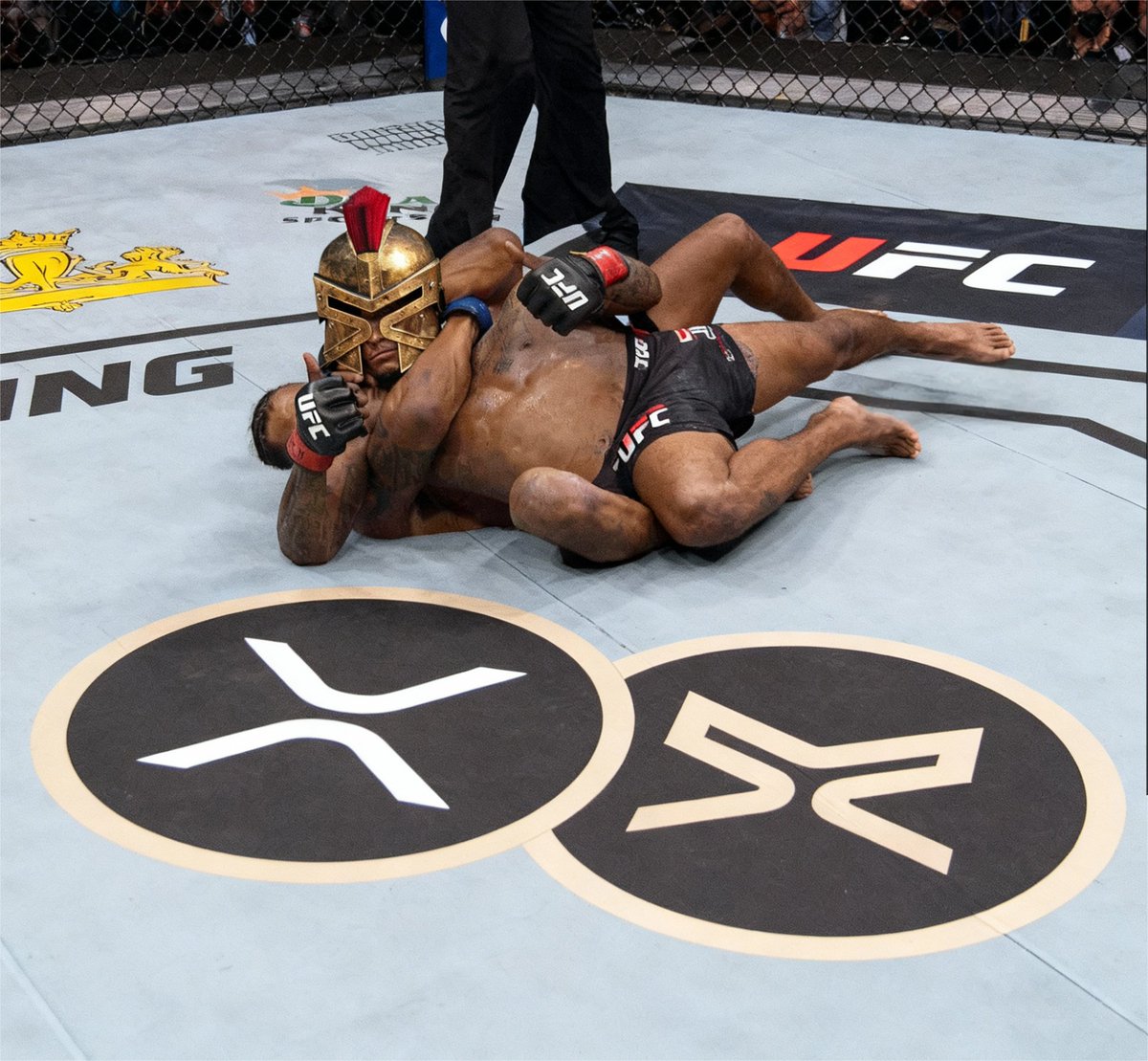 Try to choke us out.

Bear markets tried...
FUD tried...
Regulators tried...

Some will doubt.
Some may panic.

But the #XRPArmy?
Years of research, patience, and conviction…
We just thrive under pressure stacking more $XRP.