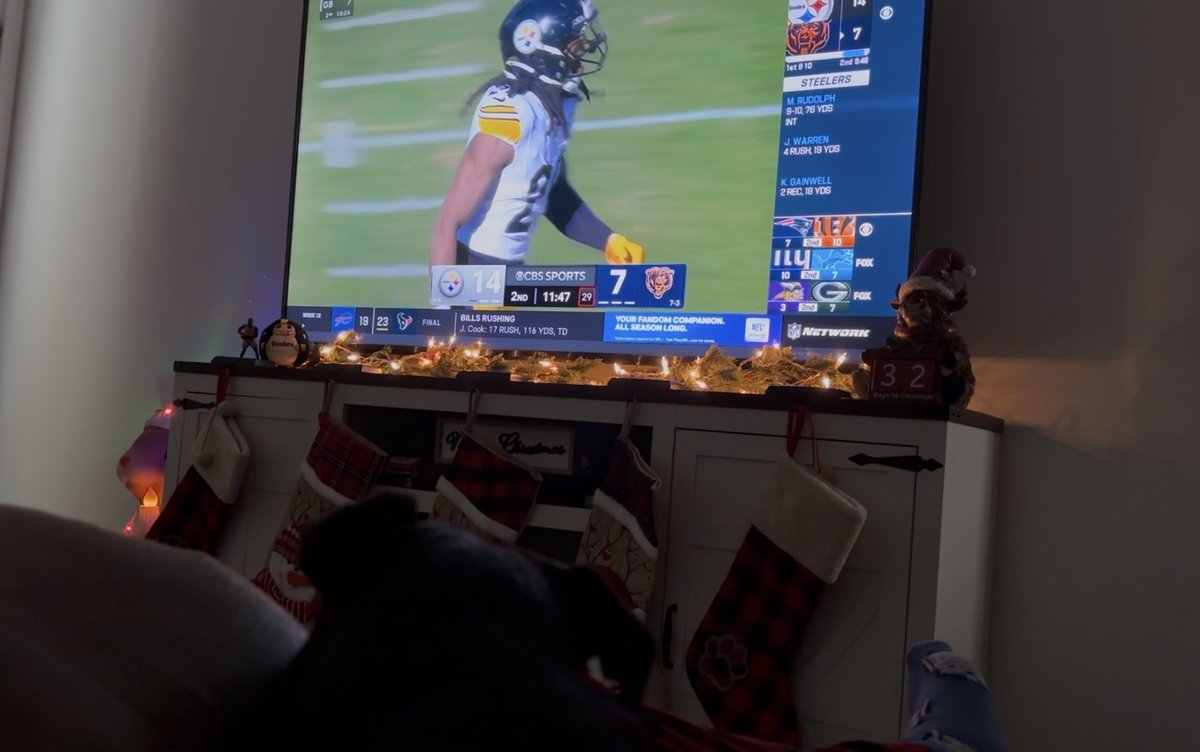 JoeyE248's tweet photo. @NFLGameDay Blue and I watching Steelers Highlights on GameDay Live from Texas.  #GDLIVE #WatchParty #Steelers https://t.co/P3IXBxNhD1