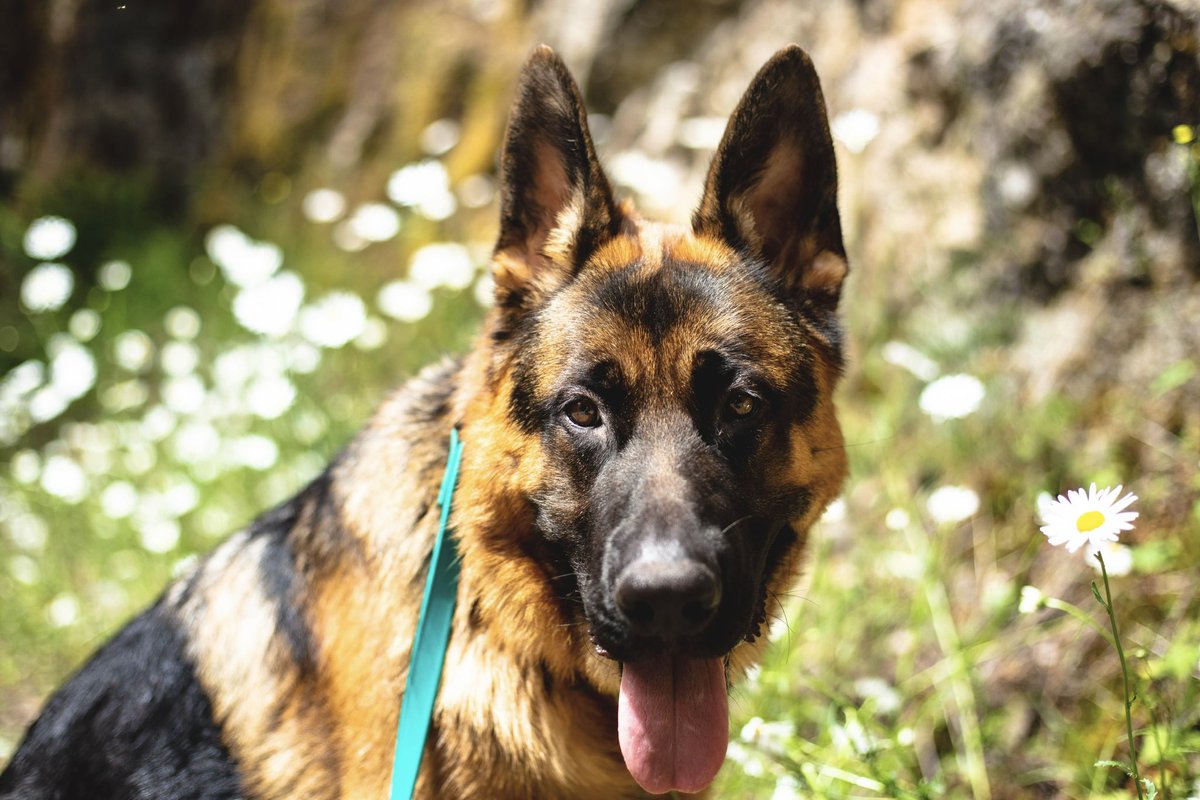 Sinpaiin ❤️‍🔥 tweet media