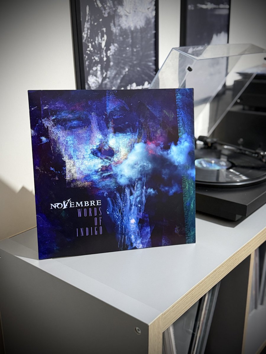 𝐄𝐬𝐞𝐫 tweet media