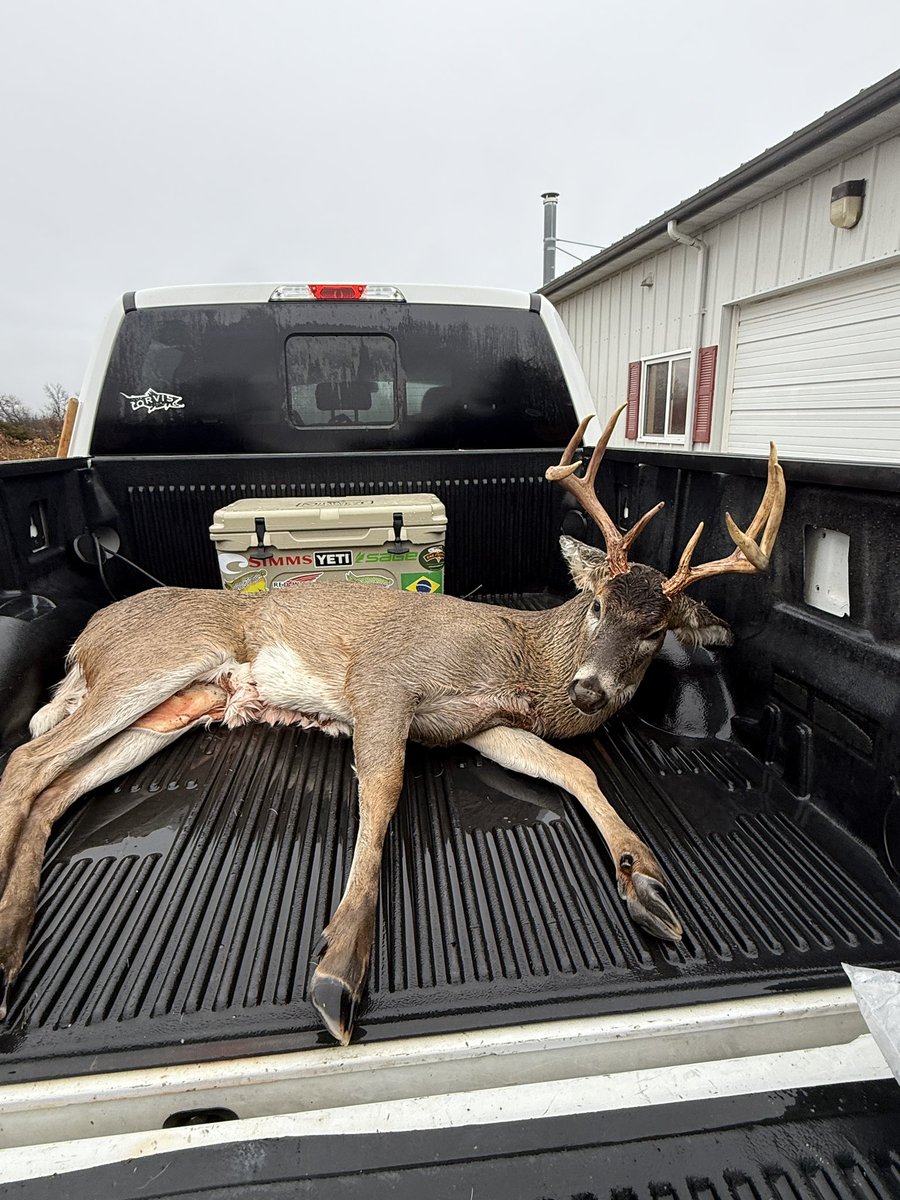 camrucker95's tweet photo. A rainy November Friday morning was good to me! https://t.co/093dtGWZYH