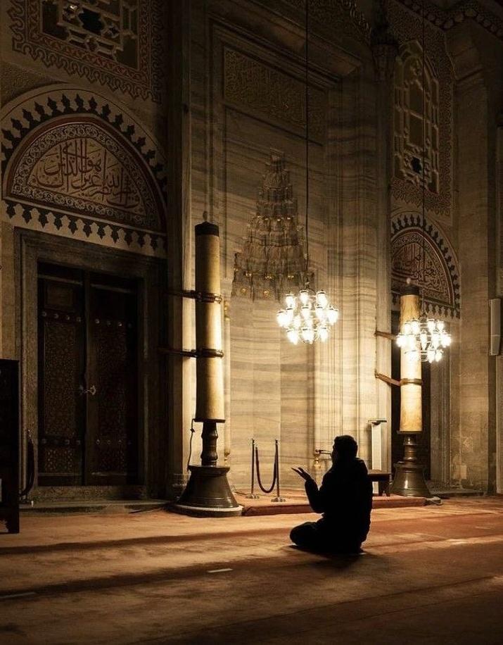 Rthaa1M's tweet photo. "رجوتُ كريمًا قد وثقتُ بصنعهِ
 وماكانَ من يرجو الكريمَ يخيبُ" https://t.co/POrJtdJRHH