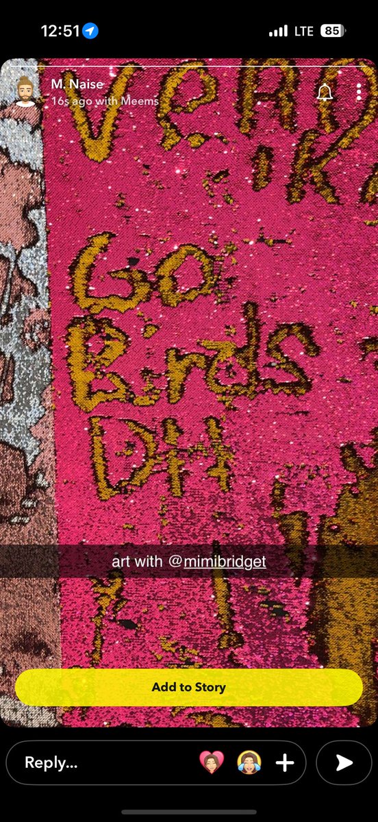 MimiBridget's tweet photo. Go birds DH @d0cdank https://t.co/UtGQjGZPo1