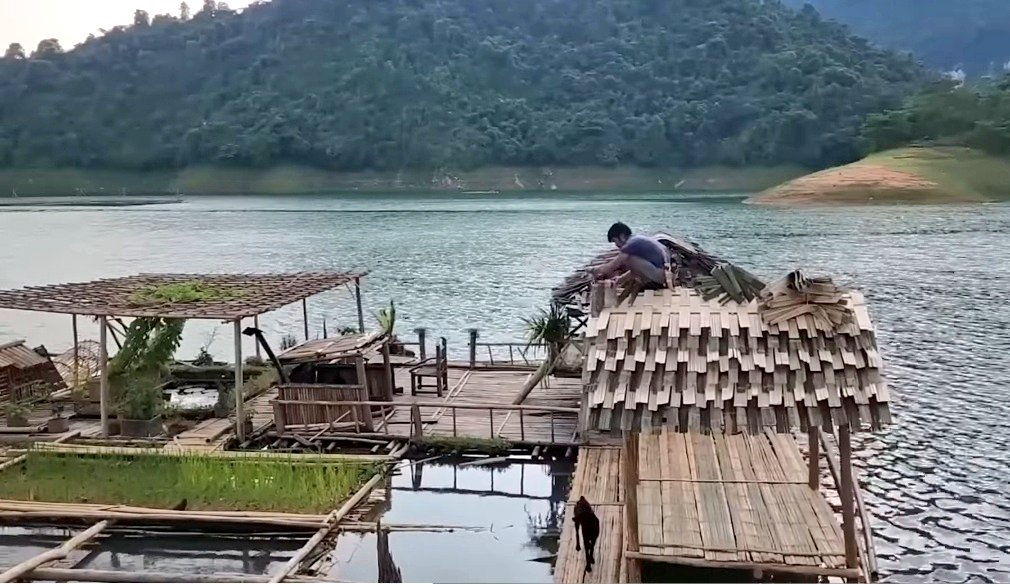 Gratitude DNA tweet media