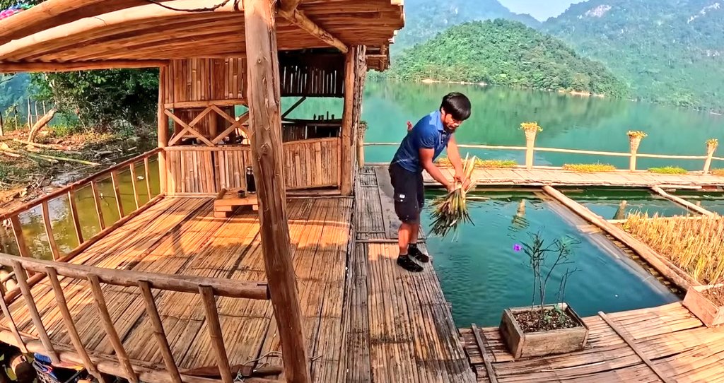 Gratitude DNA tweet media