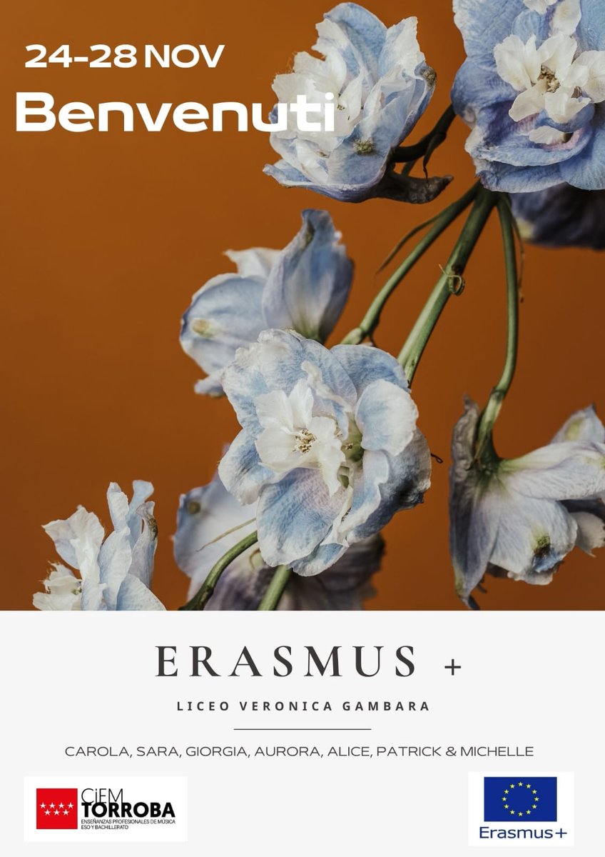 Hoy han aterrizado los seis alumnos y el profesor acompañante procedentes del Liceo Veronica Gambara, nuestro anfitrión en enero de 2026. Benvenuti!
liceogambara.edu.it