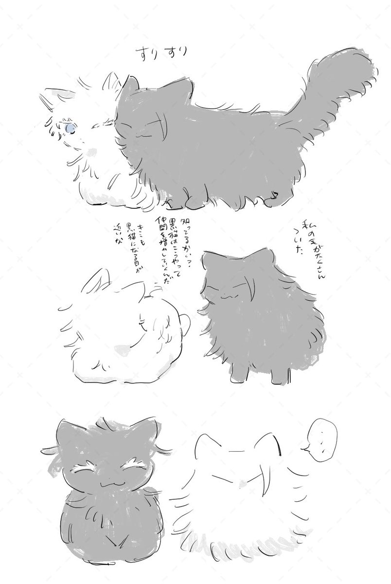 たちばな (@tach1bana7) / Posts / X