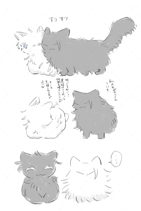 ねこごげです 