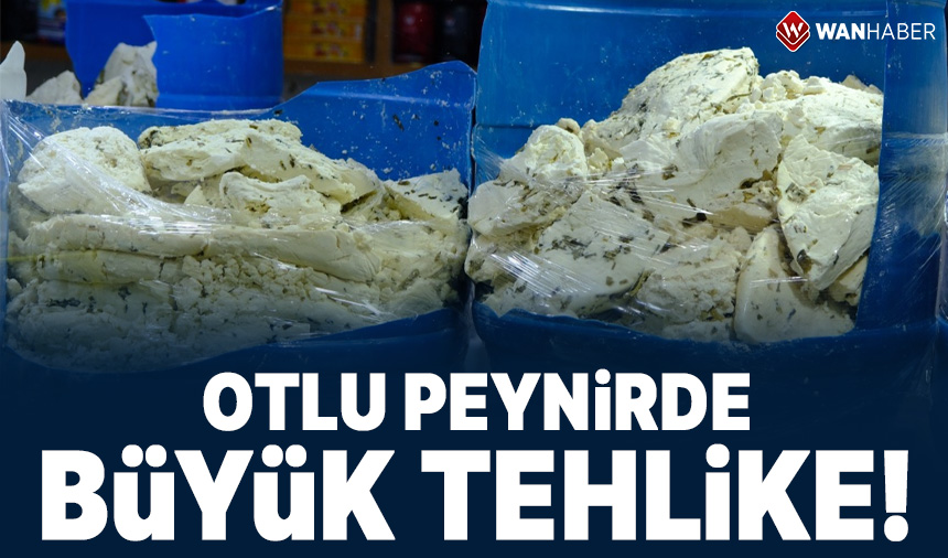 Van’ın vazgeçilmez lezzeti otlu peynirde büyük tehlike! wanhaber.com/vanin-vazgecil…