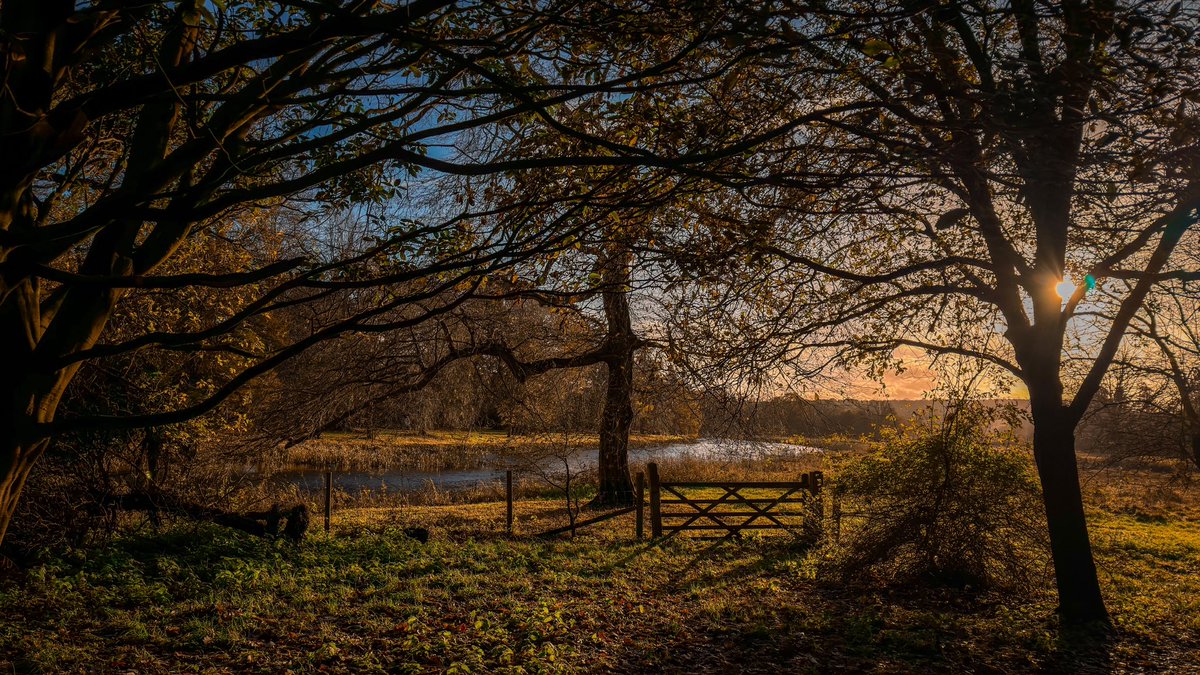 Markfern811's tweet image. Few pictures from today. 
Teken on the #iPhone17ProMax 
#lightroom edits