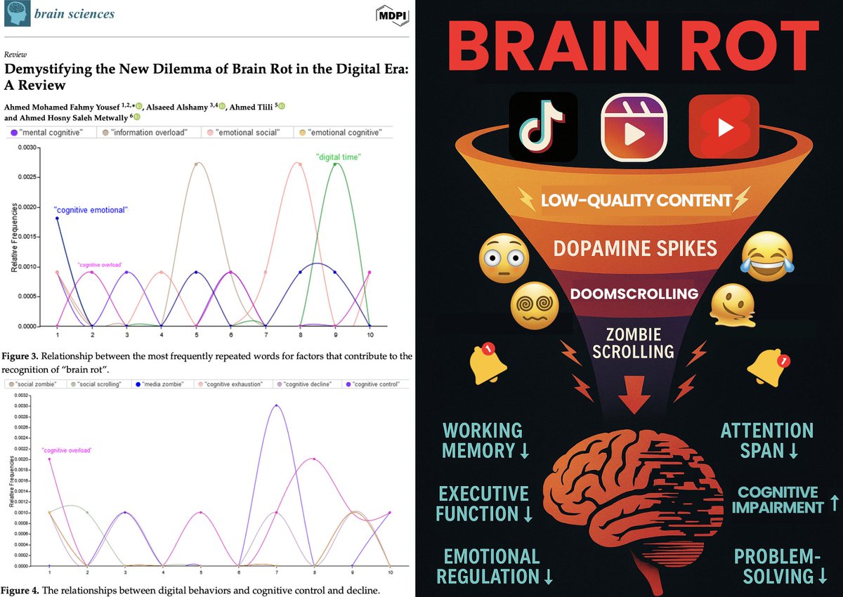 NicHulscher's tweet photo. 🚨NEW STUDY: TikTok, Instagram, and YouTube Shorts Induce Measurable “Brain Rot”

Brain Rot has advanced from meme to a documented state of cognitive atrophy.

Doomscrolling, zombie scrolling, and dopamine-driven streams of low-quality content are producing measurable cognitive impairment across an entire generation.

A new review paper analyzed 381 studies and found that   consuming rapid, low-information stimuli (ultrashort videos, memes, reaction clips, and trivial entertainment fragments that provide novelty without cognitive substance) induces:

🧠 Working Memory Declines

Short-form, high-novelty content disrupts the brain’s ability to hold and manipulate information.

⚡ Attention Span Collapses

Constant micro-stimuli train the brain to seek instant novelty while rejecting anything slow or nuanced.

🔁 Dopamine Feedback Loops Hijack Reward Circuits

Infinite scroll + unpredictable hits = addiction-like neurobiology.

📉 Executive Function Weakens

Planning, prioritization, impulse control, and decision-making all degrade under chronic overstimulation.

😵‍💫 Doomscrolling = Emotional Hyperactivation

Overexposure to negative content elevates stress hormones, damages memory formation, and induces hypervigilance.

🥴 Zombie Scrolling = Dissociation & Cognitive Drift

Mindless, passive scrolling erodes focus, emotional regulation, and present-moment awareness.

🧩 Preclinical Dementia Signatures Are Already Appearing

Reduced hippocampal activity, disrupted salience networks, slowed learning, and cognitive load patterns that mirror early neurodegeneration.

Adolescents—whose prefrontal cortex is still developing—show the most severe cognitive impairment.

Social media short-form apps are reshaping and degrading the developing brain at population scale.
