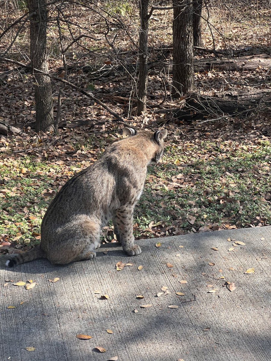 Chilling with my boy mid run