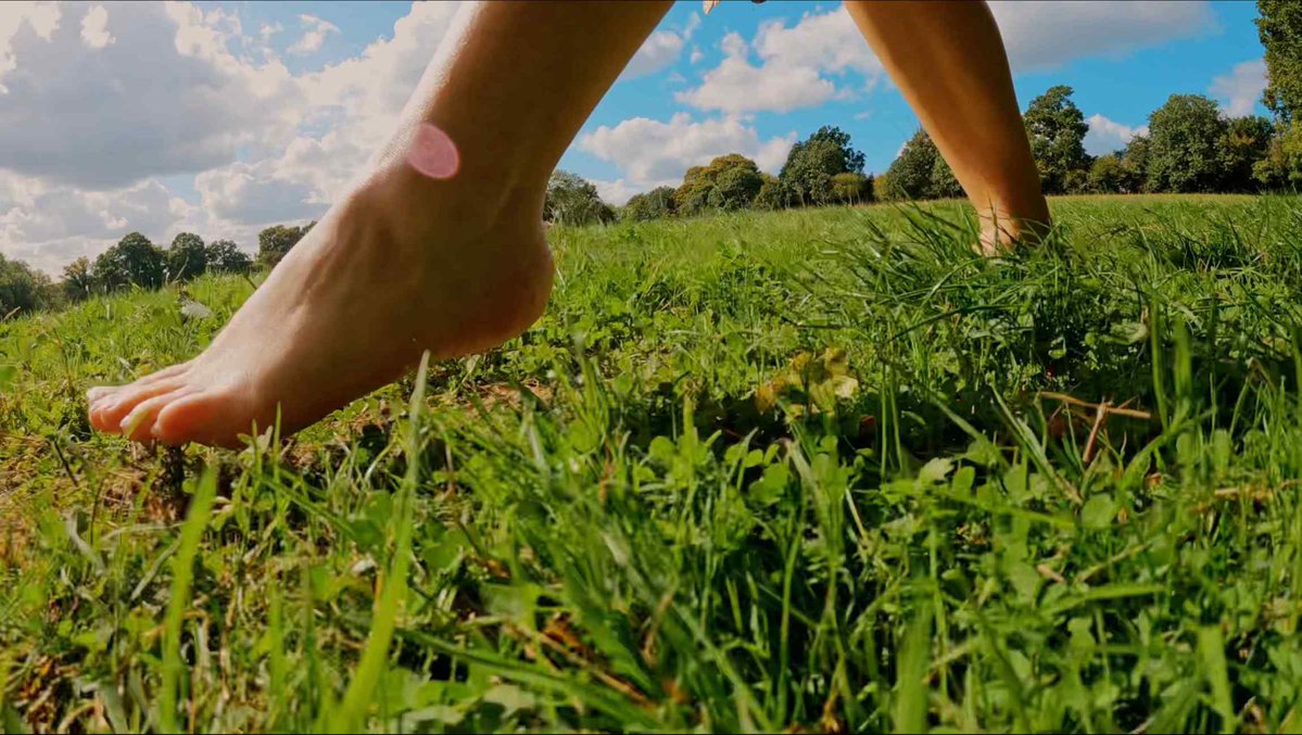 LeafysFeet's tweet image. Watch my latest challenge video before the next one is released at the end of the month!
Click here: leafysfeet.com/shop?Category=…