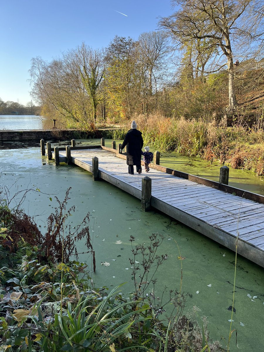 Anne-Marie Gallogly💙 tweet media