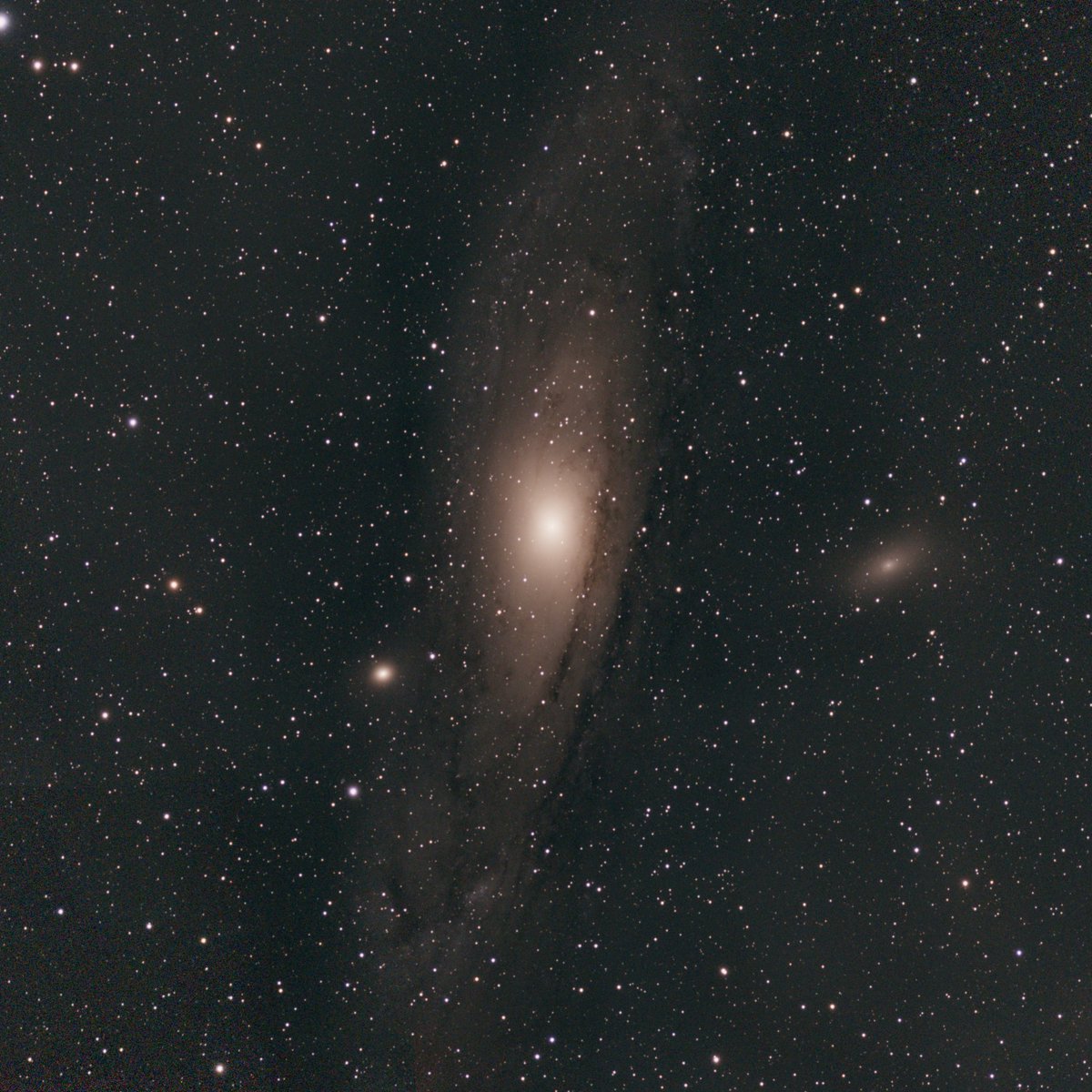 Andromeda captured last week as a mosaic of 500+ 10 second images. Unprocessed so far as I still need to learn how to filter and enhance the data captured. Still blown away by the quality of a £500 telescope.
#SeestarS50 #Astrophotography #Astronomy