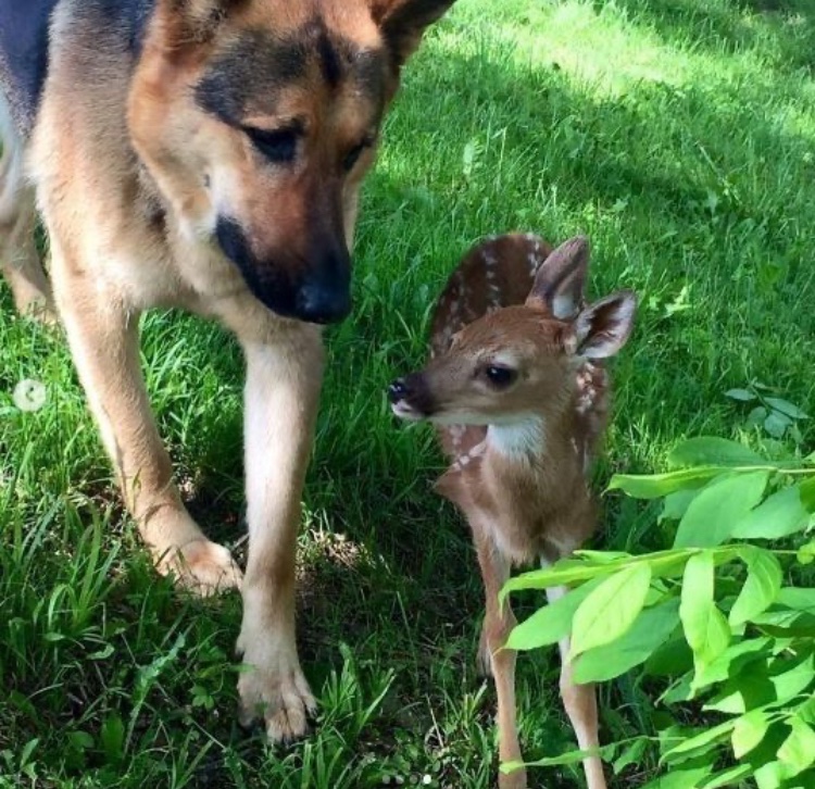 ˗ˏˋ bellie ˎˊ˗ (@weaponxtra23) on Twitter photo 