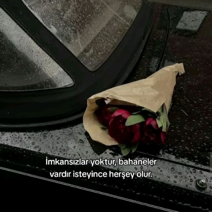 Azat (@venustekimezarr) on Twitter photo 