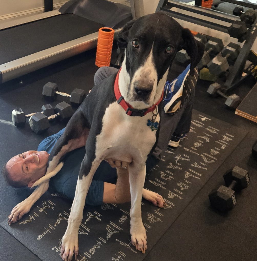 When things get too easy in the gym of life, sometimes you need a wingman to push you even harder and make you a little uncomfortable! 😜
#WillieWorkout. #WingDog
