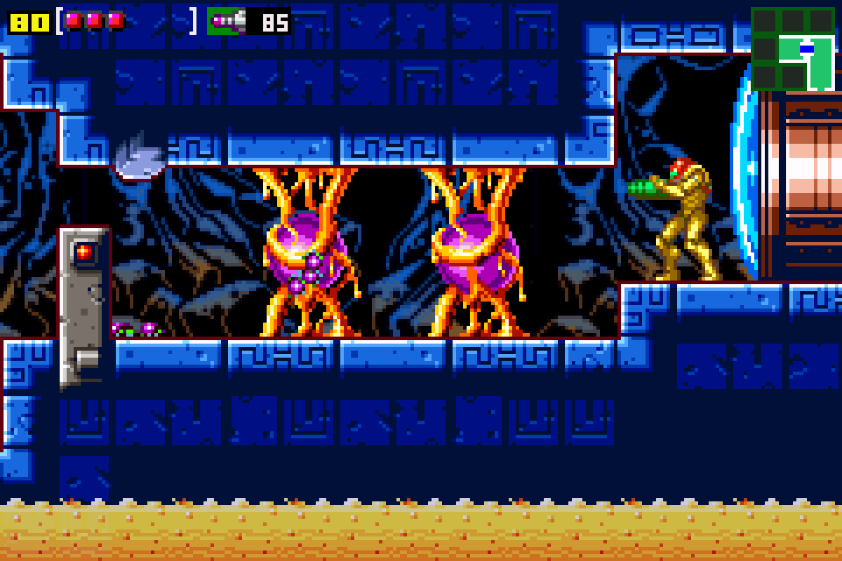 Chief Big Bauer 🐪 (@bigbossbauer) on Twitter photo 