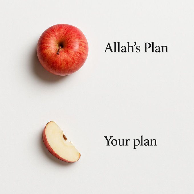 Trust Allah's plan☝🏼