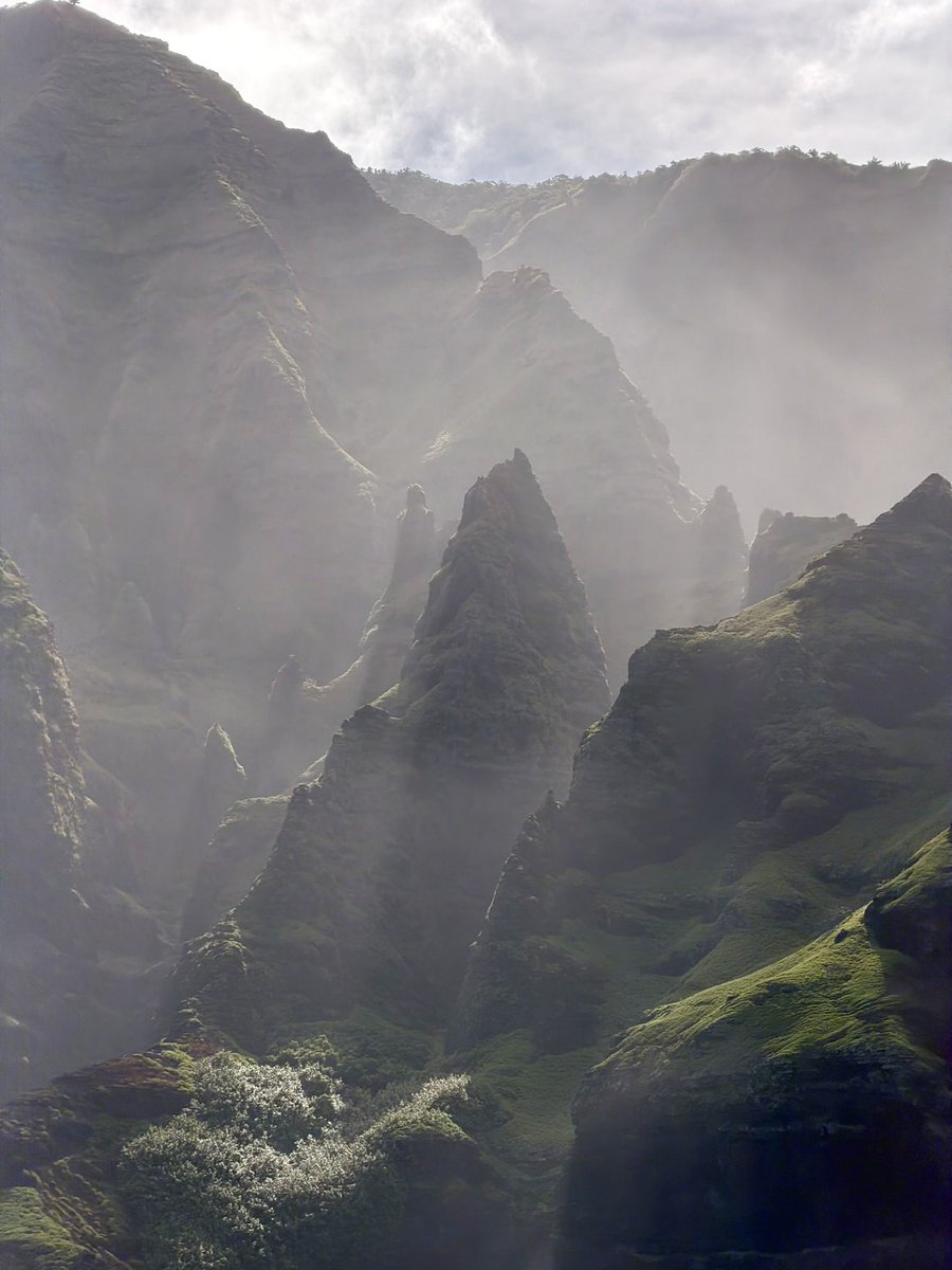 i can’t believe i saw this with my own eyes