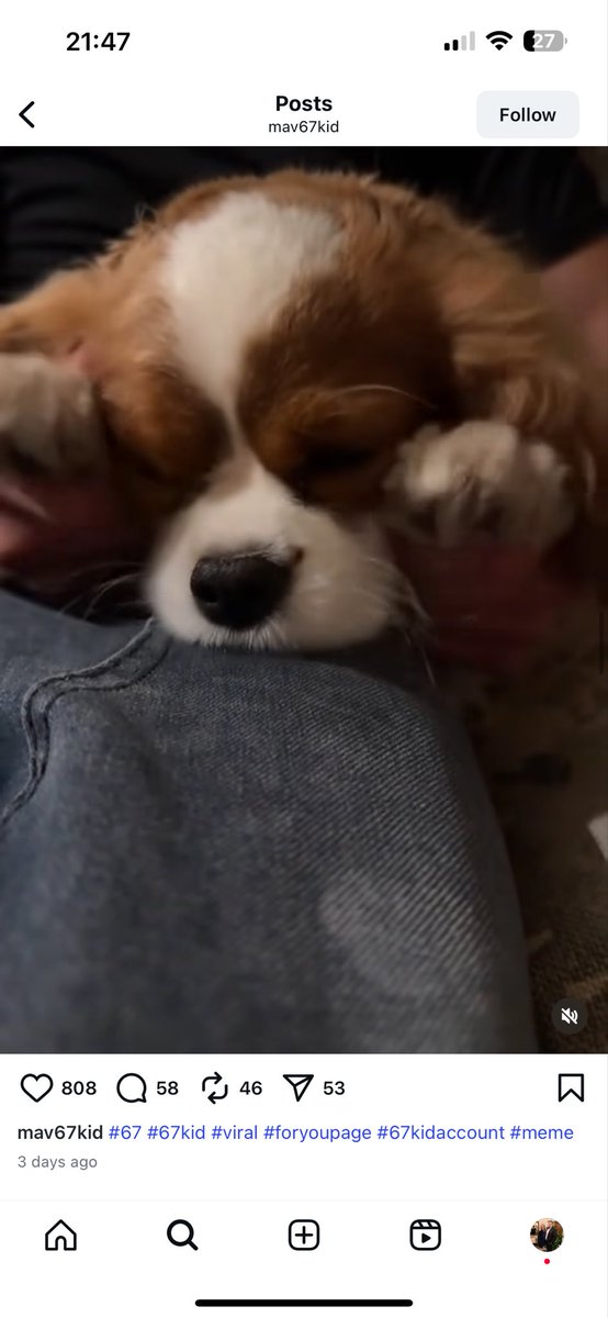 Tom 6️⃣7️⃣ tweet media