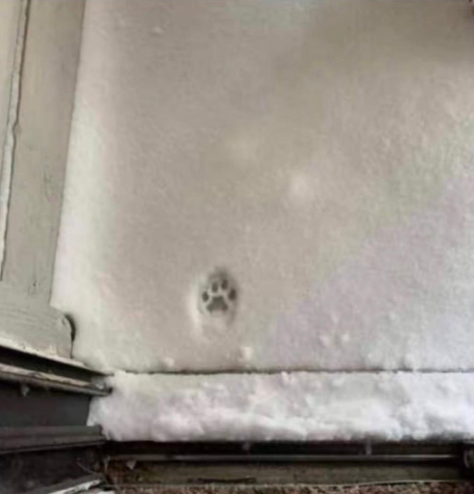 FRottweiler's tweet photo. Eine kurze Geschichte über Entscheidungen. 😉 https://t.co/6acDaXUQNI