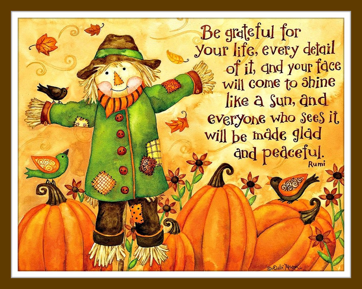 Be grateful for your life, every detail of it, and your face
will come to shine like a sun, and everyone who sees it 
will be glad and peaceful. - Rumi