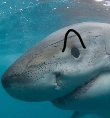 voxtekshark's tweet photo. https://t.co/wW51zqt7qa