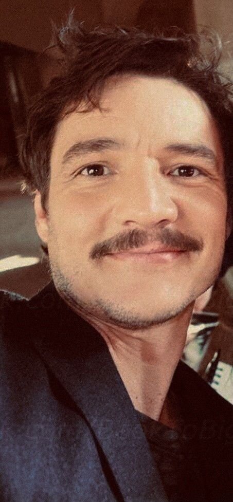 hourlyppscal's tweet image. puppy or bear