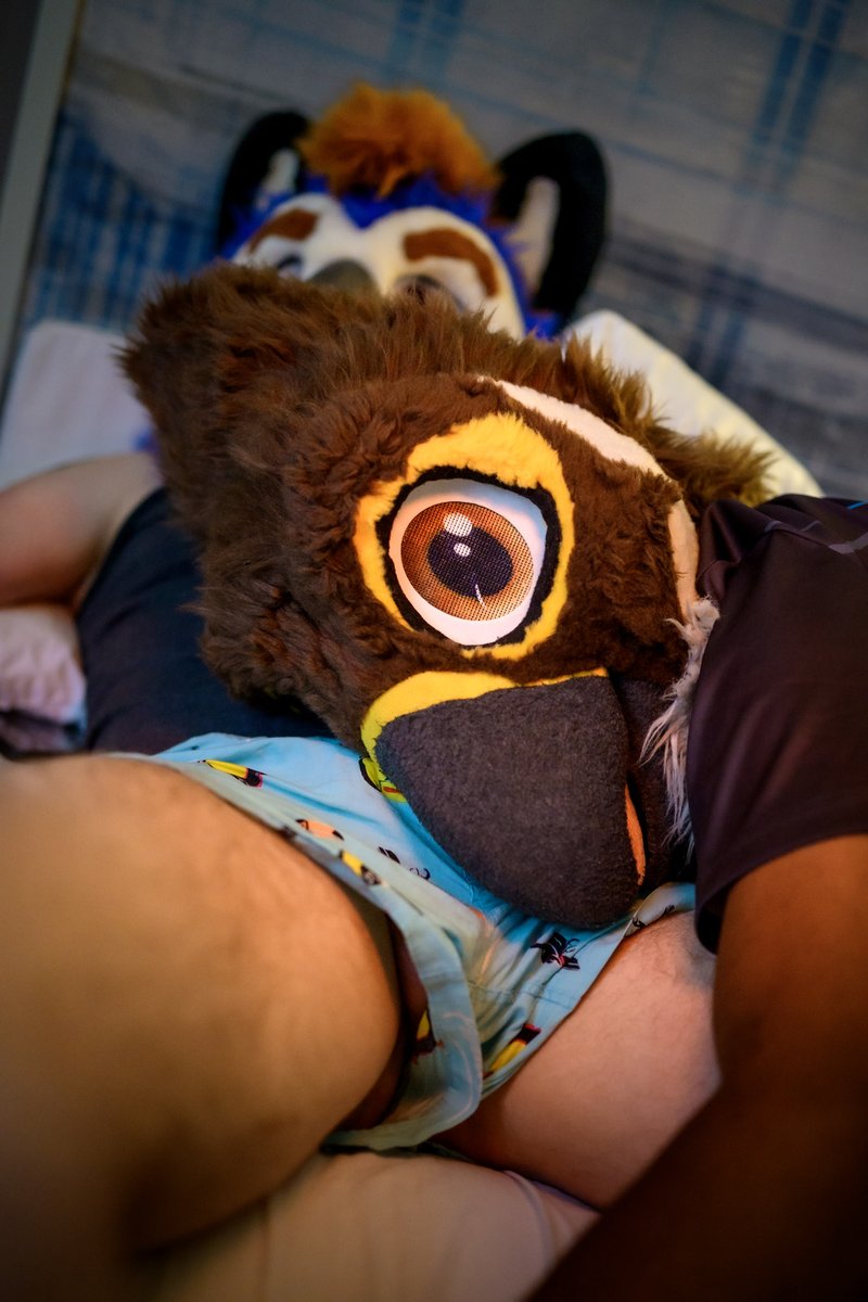 Nothing quite like laying back and letting <a href="/murrfalc/">FalccButt 🔜 MFF</a> find his happy place. Such a good birb. 💙