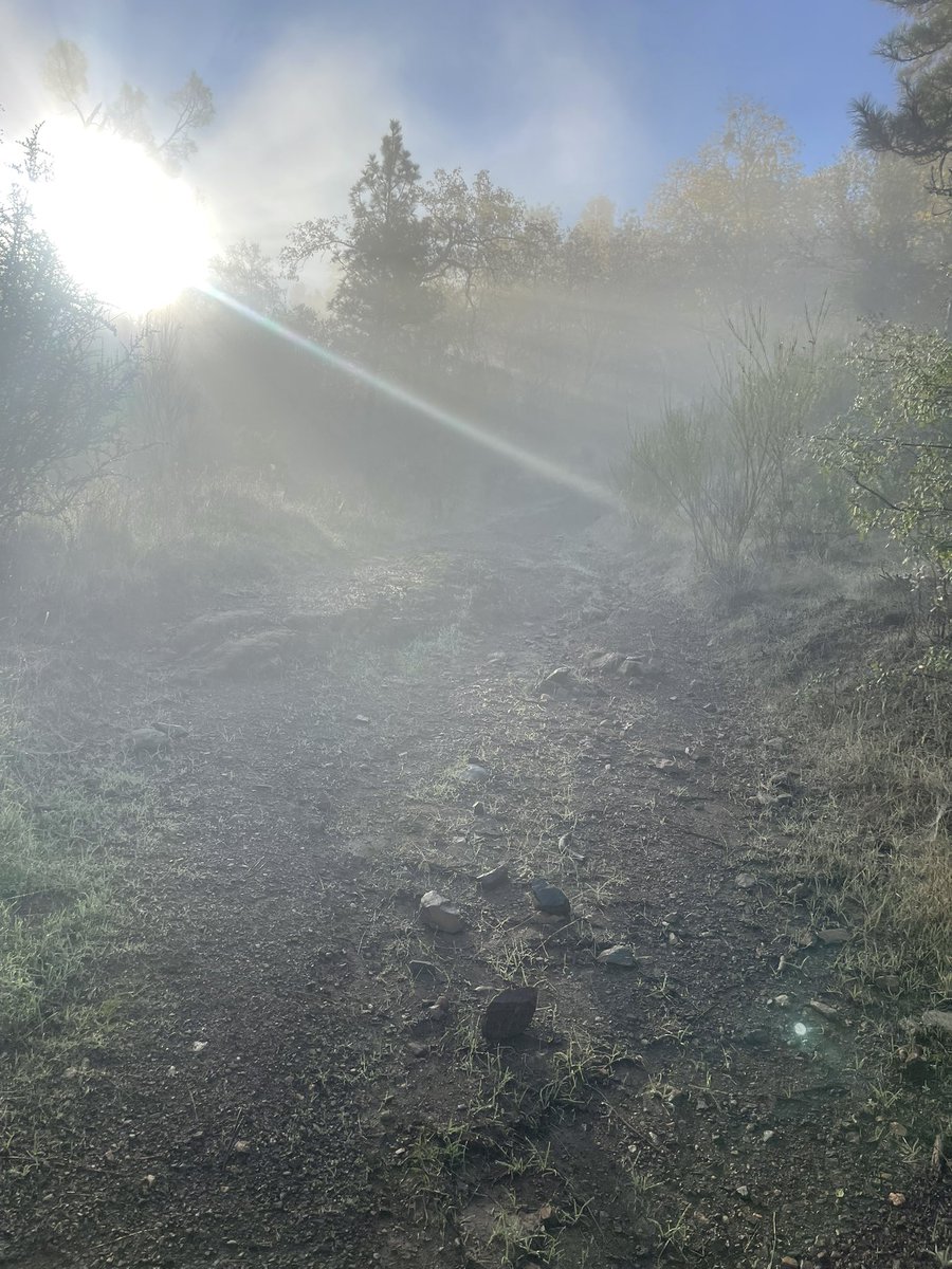 Anthony Sainz tweet media