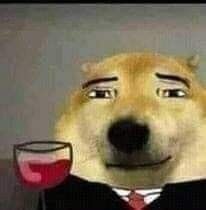 lizz zef tweet media