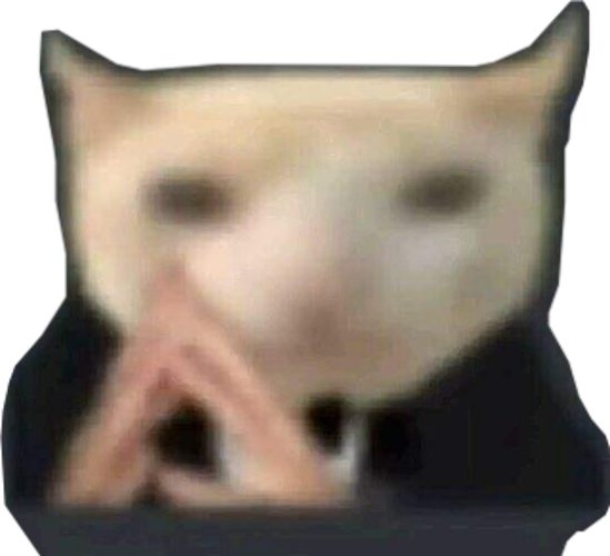 lizz zef tweet media