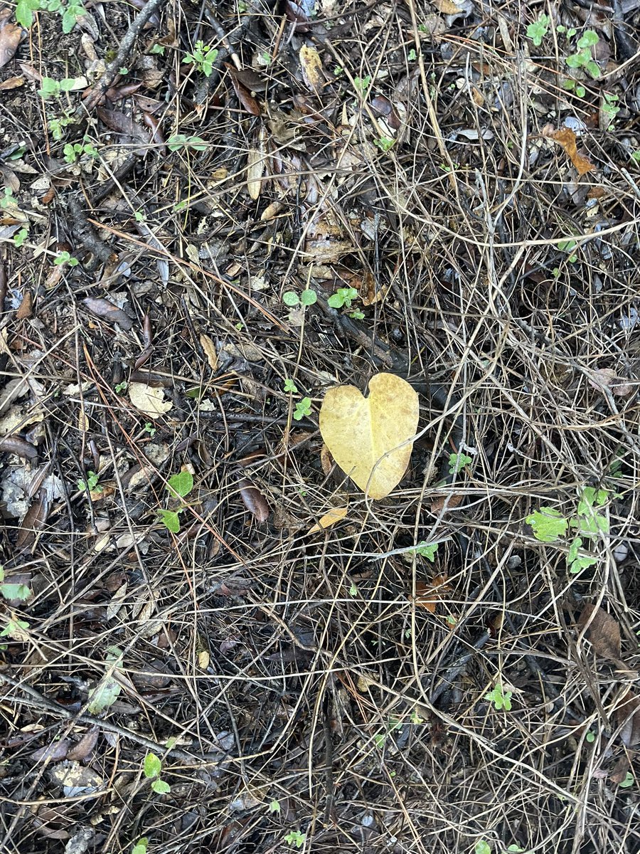 Anthony Sainz tweet media