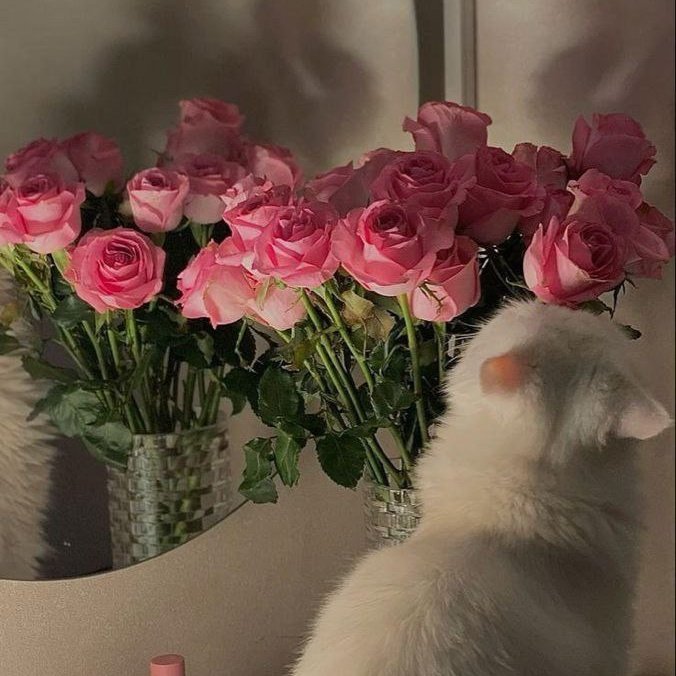 #صورة_ملف_شخصي_جديدة