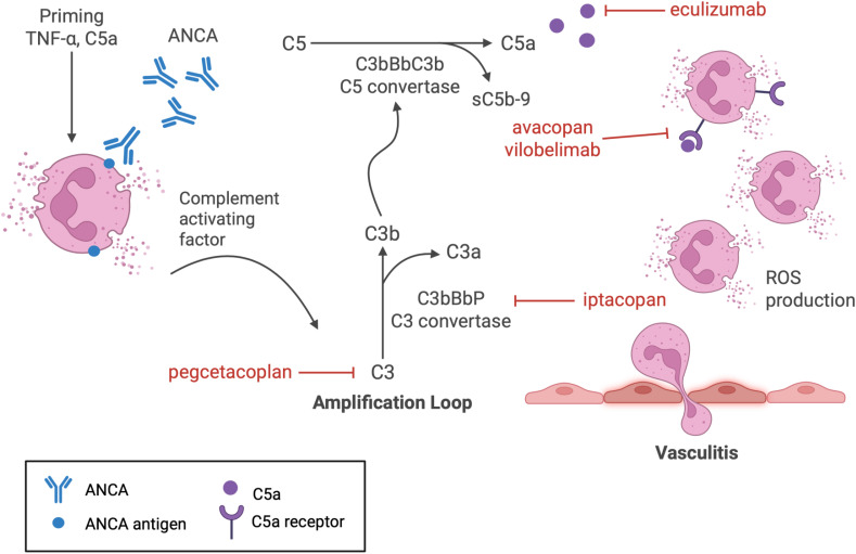 NefroGetafe tweet media