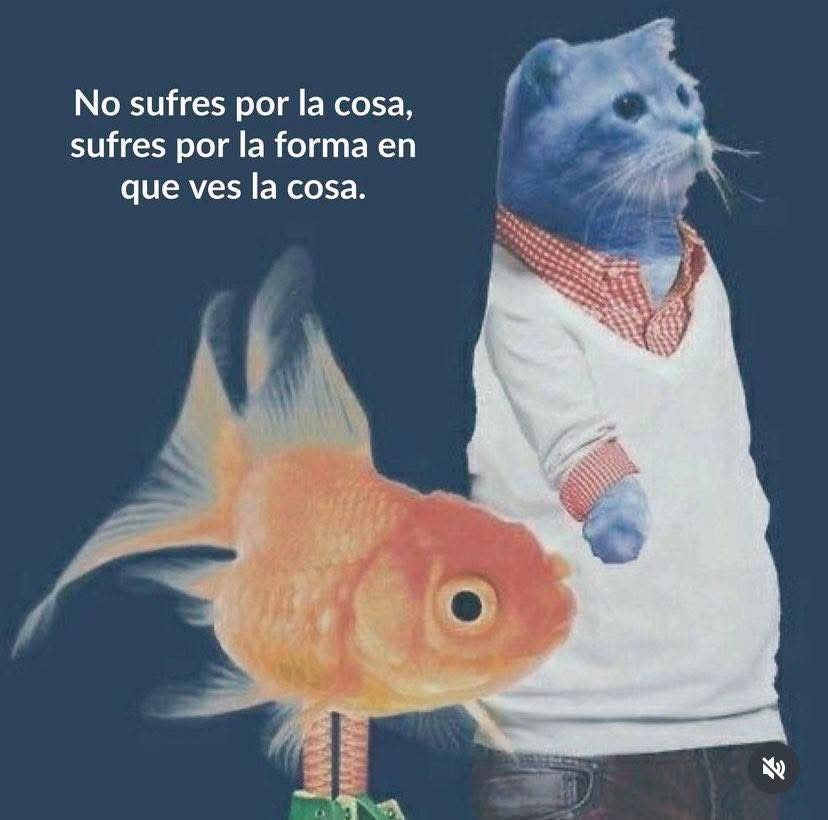 DiloConGatitoz's tweet image. 