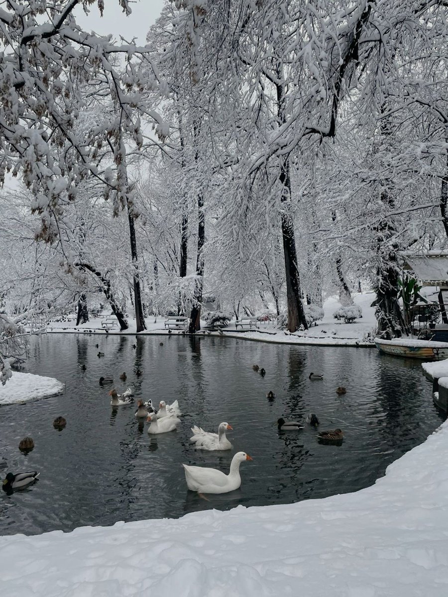 tmbIrpics's tweet image. Winter season