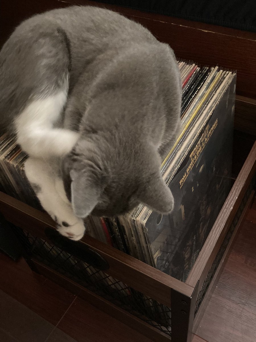 Hey‼️ Get Off Of There‼️