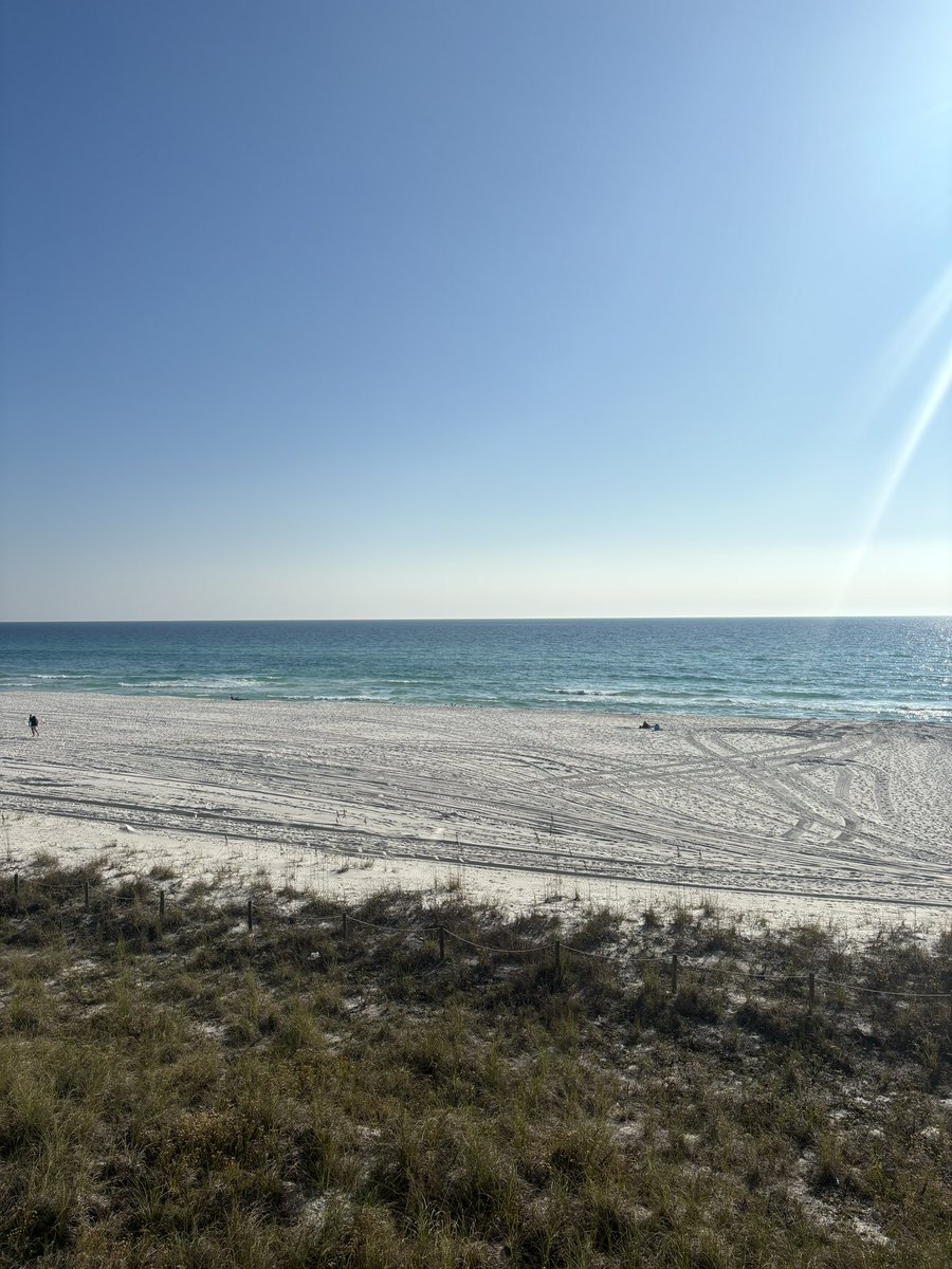 Whatshername tweet media