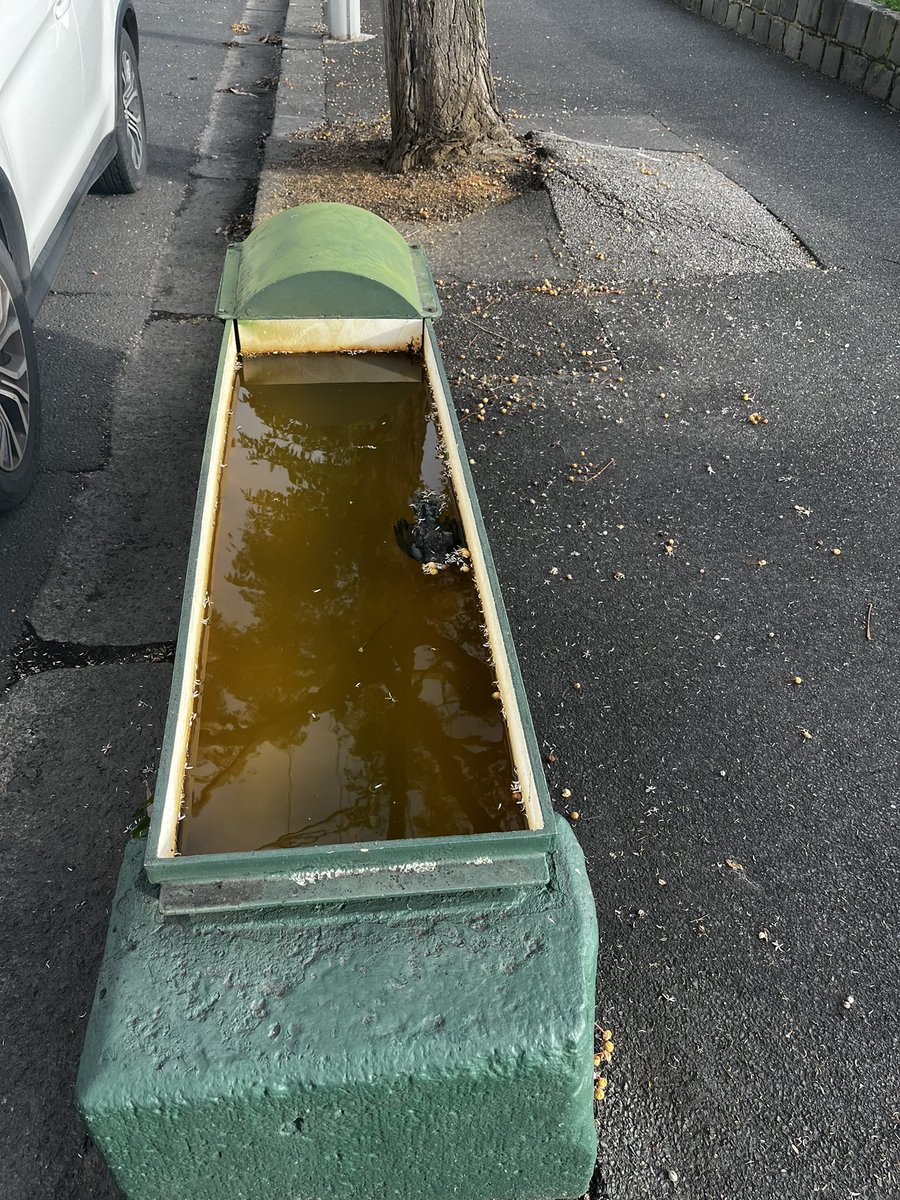 AussieGayLib's tweet image. Melbourne is so pretty