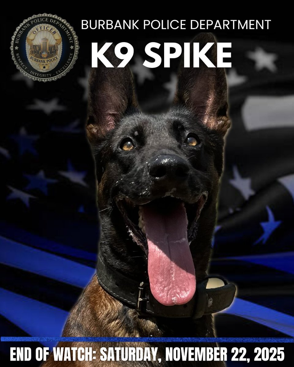 Breaking911 tweet media