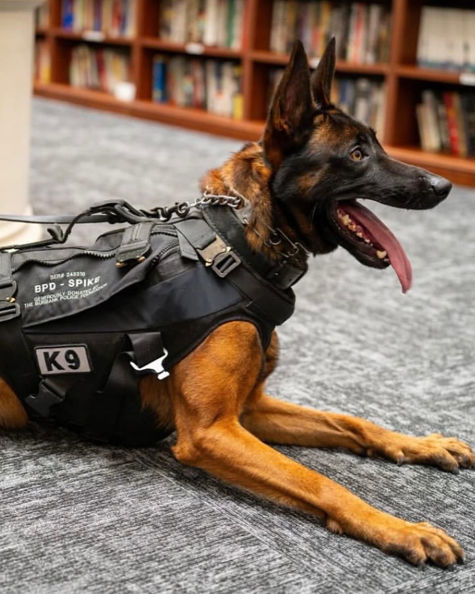 Breaking911 tweet media