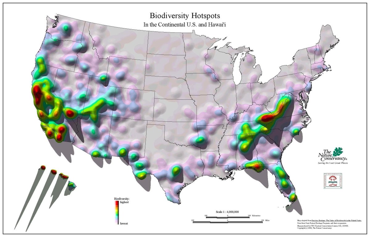 InvestIn__US's tweet photo. 🦅 USA is one of the most biodiverse nations on Earth 🌿
#Biodiversity #Nature https://t.co/sA33KASbOL