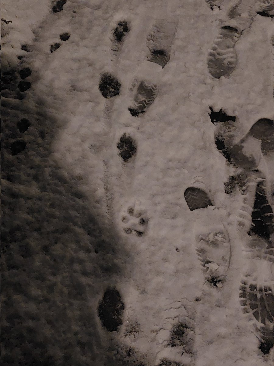 it's finally snowing so had to make this mini snowman