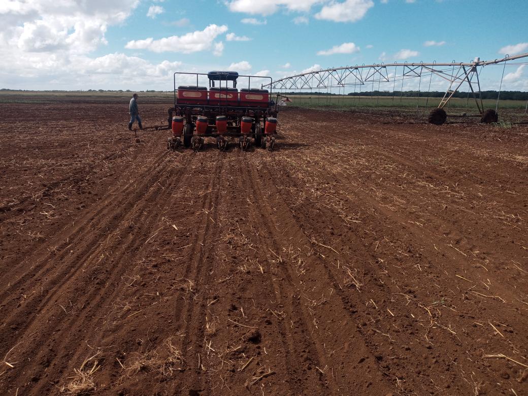 Meneses92767's tweet photo. #EmpAgropARamirezPorMas. Continuamos con la siembra en la finca 28 https://t.co/SeH2Mh6O3h