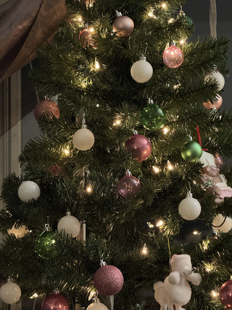 my wicked tree 😭😭😭