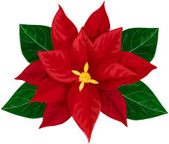 Place your orders by 2pm Monday (that's tomorrow) to enjoy beautiful Poinsettias this holiday season and support MOA!!!
tinyurl.com/257wnkcz