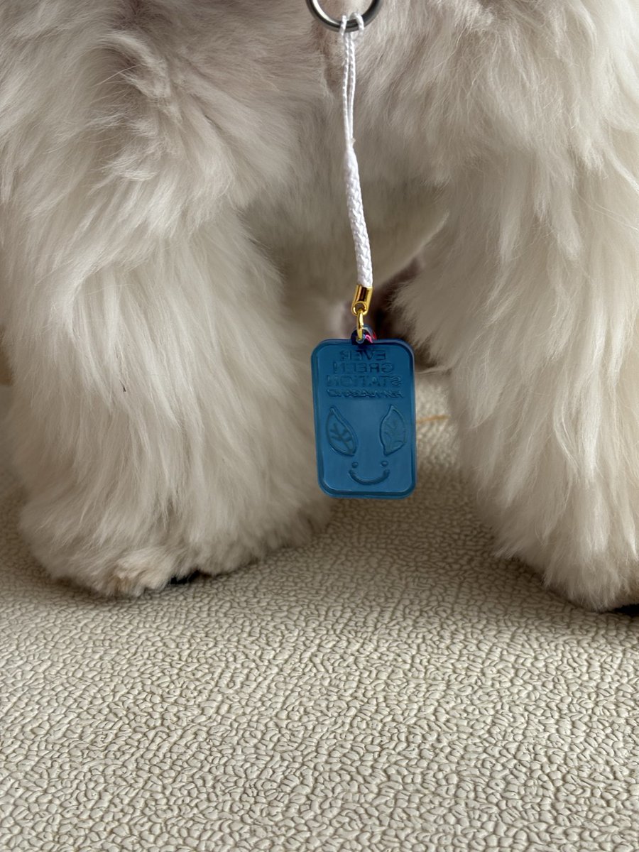 RwD0cl's tweet image. 早速つけてみた反射板🌟夜散歩安心度アップ⤴️です
#FM長野